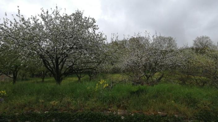 דירות Oskotz Sagardikoetxea II מראה חיצוני תמונה
